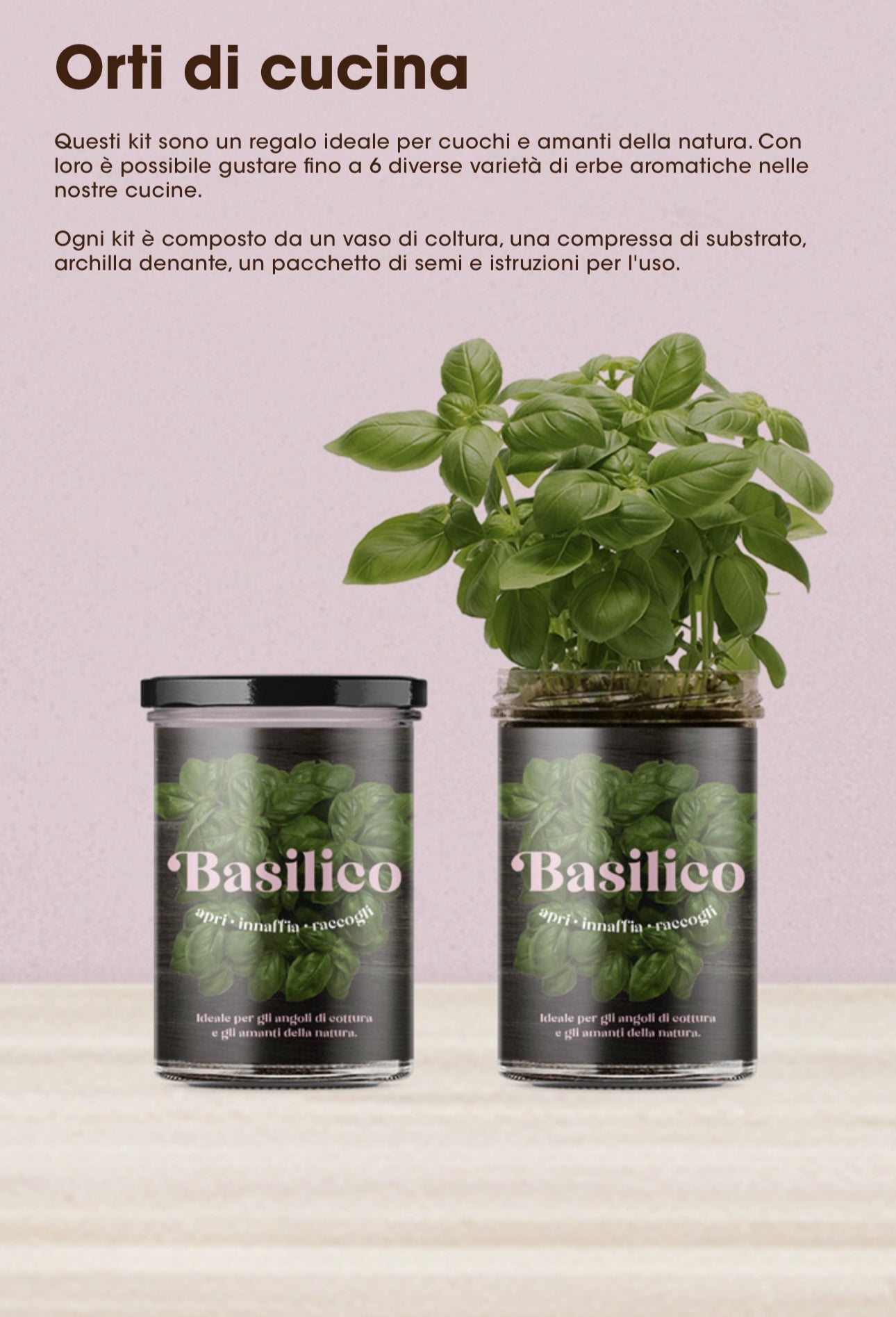 Orti in cucina - Basilico